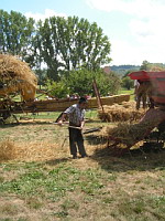 Battage a l'ancienne (ph. F. Mrugala, St Jean de Touslas)(6)